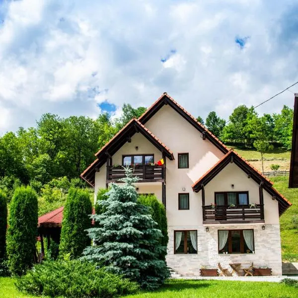 Pensiunea Poienita, hotel in Albac