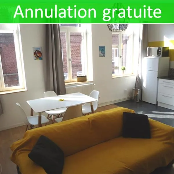 Appartement Lille/1ch/stationnement gratuit, hotel in Lille