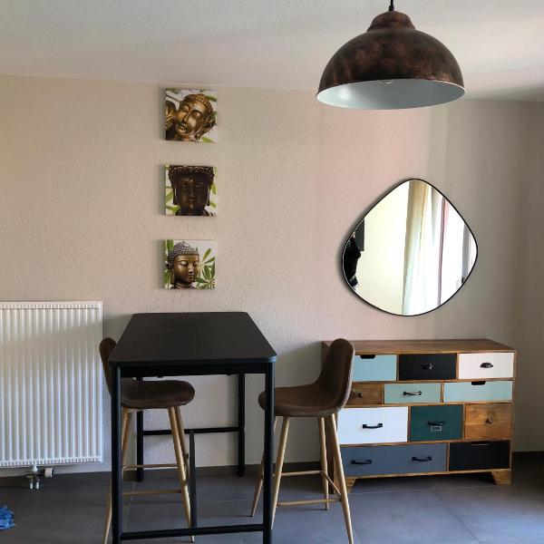 Amazing Studio In Lausanne Close To Epfl and Unil, Ecublens