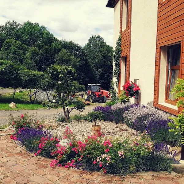 Agroturystyka " Żabi Dołek ", hotel in Duszniki Zdrój