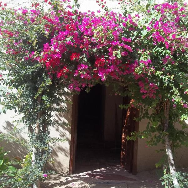 Nour El Gourna