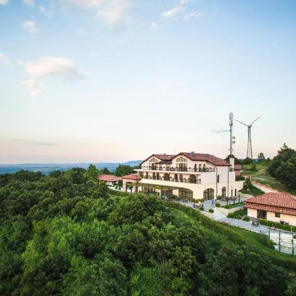 Zaara Estate Winery Hotel & SPA, hotel in Glavan