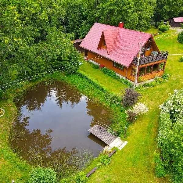 Sodyba Basapėdė – hotel w mieście Bijutiškis