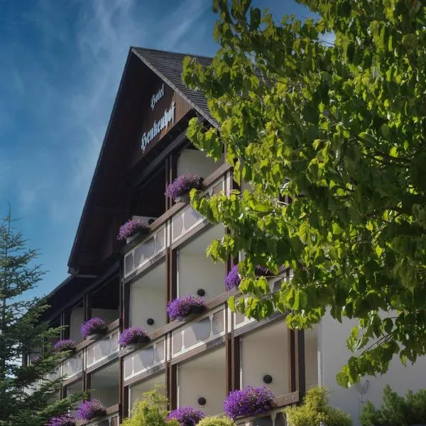 Landhotel Henkenhof Willingen, Hotel in Willingen