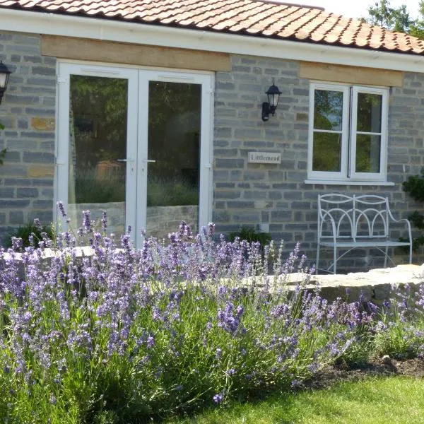 Littlemead - Newly renovated private studio near Glastonbury, hôtel à Glastonbury