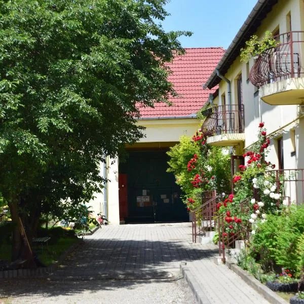 绿屋旅馆，位于锡比乌的酒店