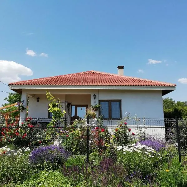 House Albena, hotell i Durankulak