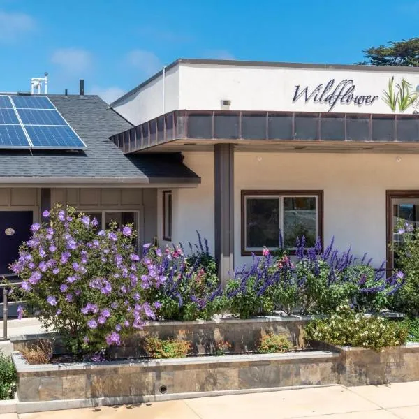 Wildflower Boutique Motel、ポイント・アリーナのホテル