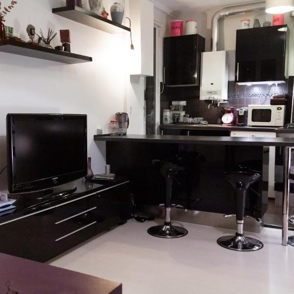 Superb Apartment Near Bastille