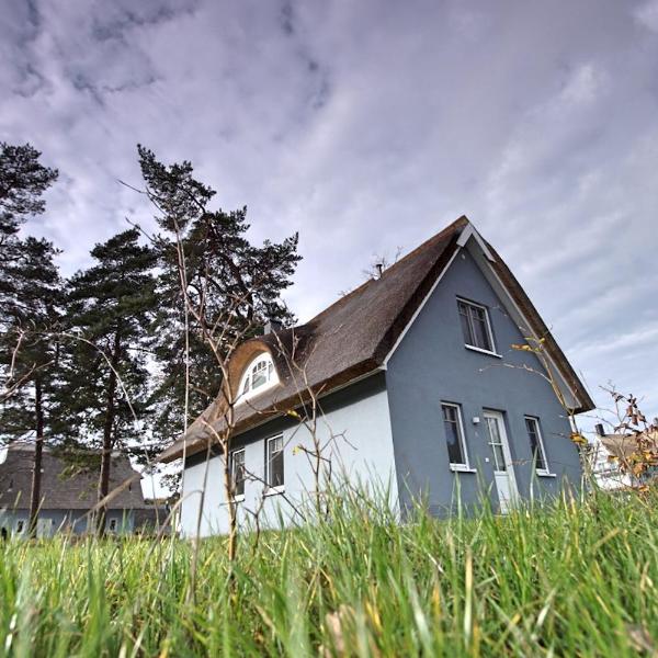 Haus unter den drei Bäumen - Urlaub auf der Sonneninsel Usedom