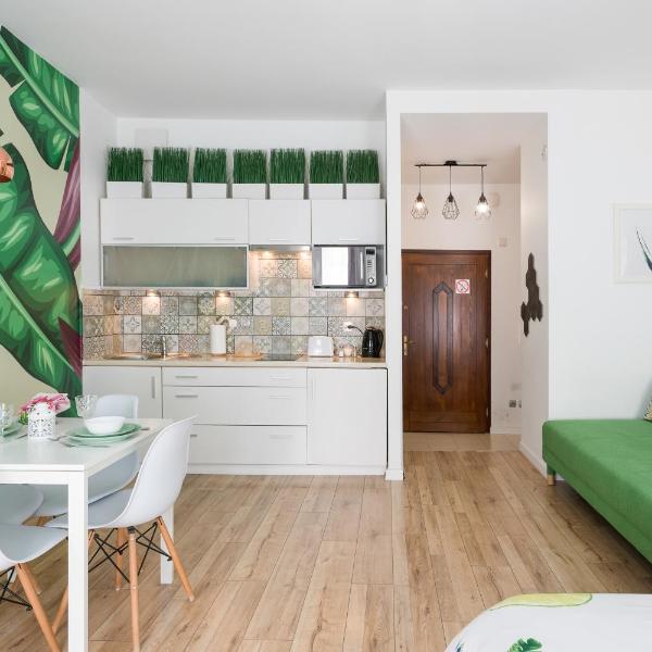 Cozy modern STUDIO GREEN APARTMENT in Old Town