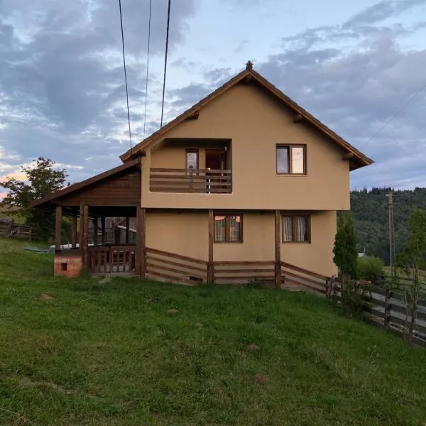 Cabana Vlad 1, Hotel in Piatra Fântânele