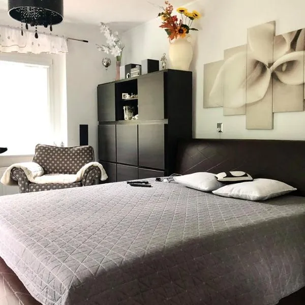WYPOSAŻONY apartament przy strumyku w Górach Sowich, Smart TV, Odpocznij w naturze!, hotel in Walim