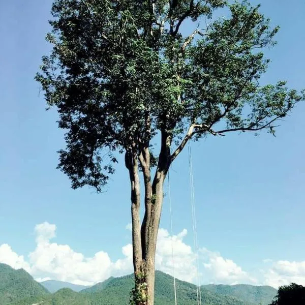 Mari Pai Resort, hotel in Pai