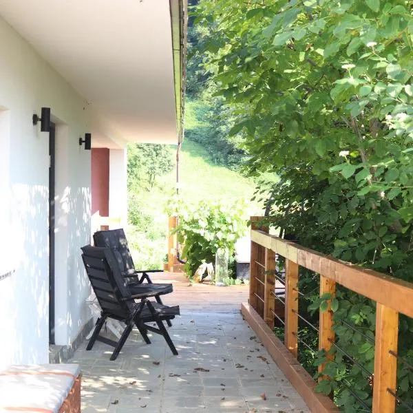 The Lodge, hotel in Rogaška Slatina