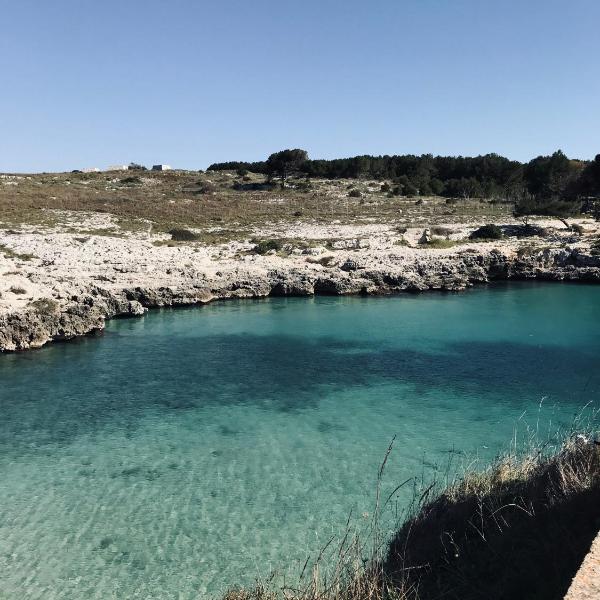 n’Celi