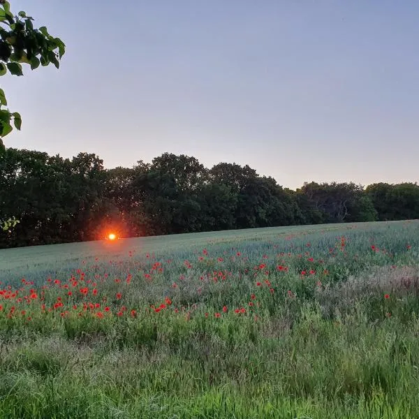Pension Petersen、ベルゲン・アウフ・リューゲンのホテル