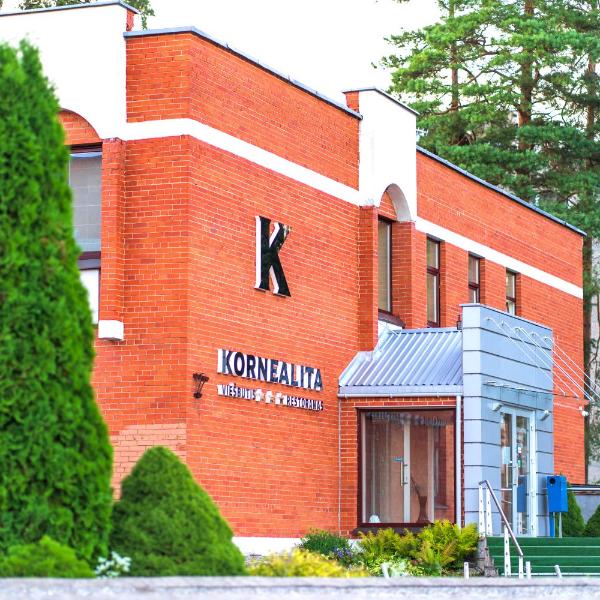 Kornealita, Visaginas