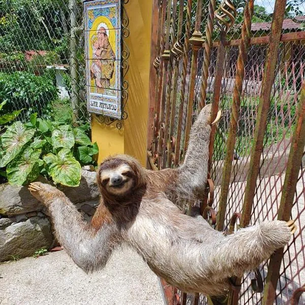 Villa San Antonio - El Valle de Anton, hôtel à El Valle