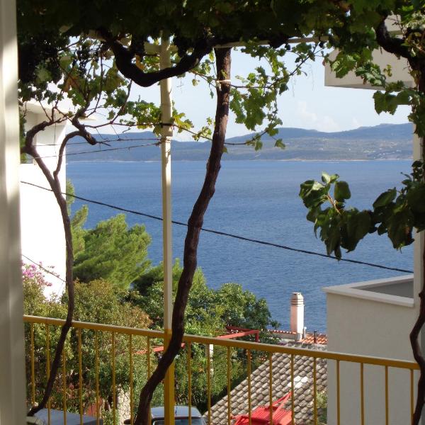 APARTMAN ZORAN MARUSIC