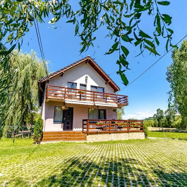 Casa Nitu, ξενοδοχείο σε Intorsura Buzaului