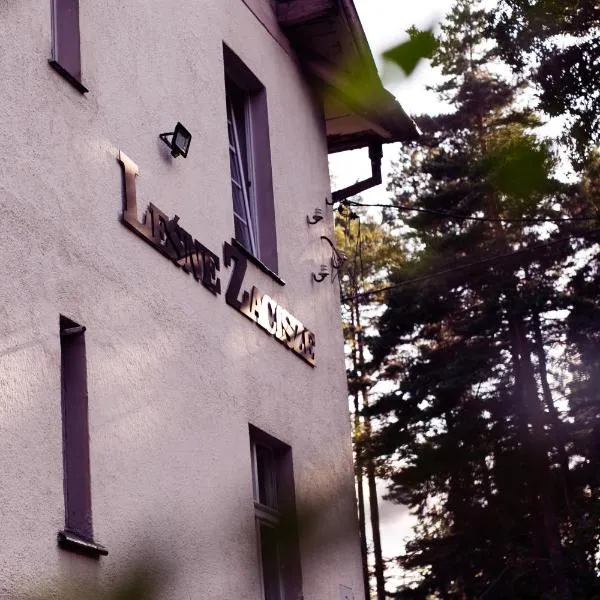 LEŚNE ZACISZE, hotel in Polanica-Zdrój