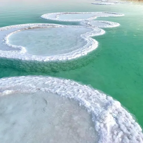 Nadia Hosting Dead Sea, ξενοδοχείο σε Neve Zohar