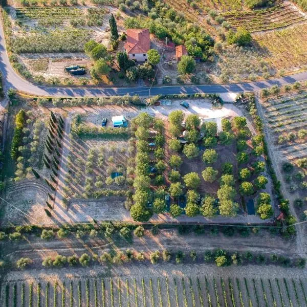 AGRiCAMPiNG POGGiO Ai PiNi WiNE CAMPiNG, hotel en Certaldo