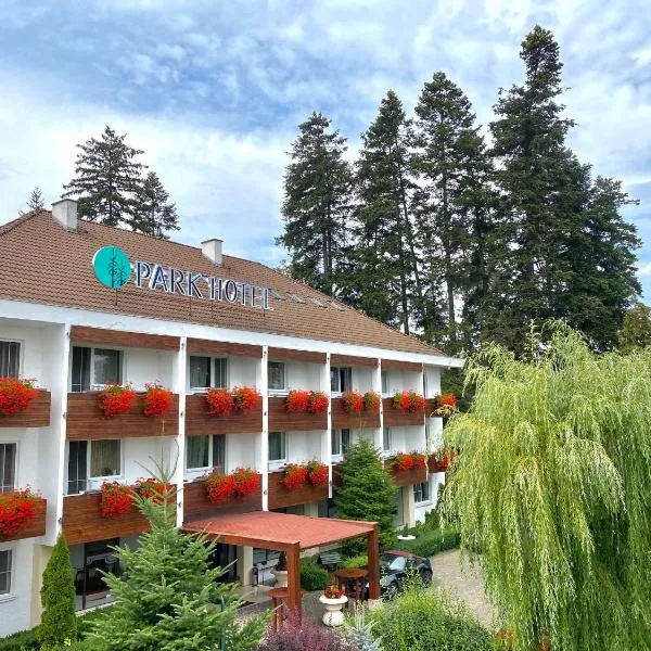 Hotel Park Sfantu Gheorghe, hotel in Sfântu-Gheorghe