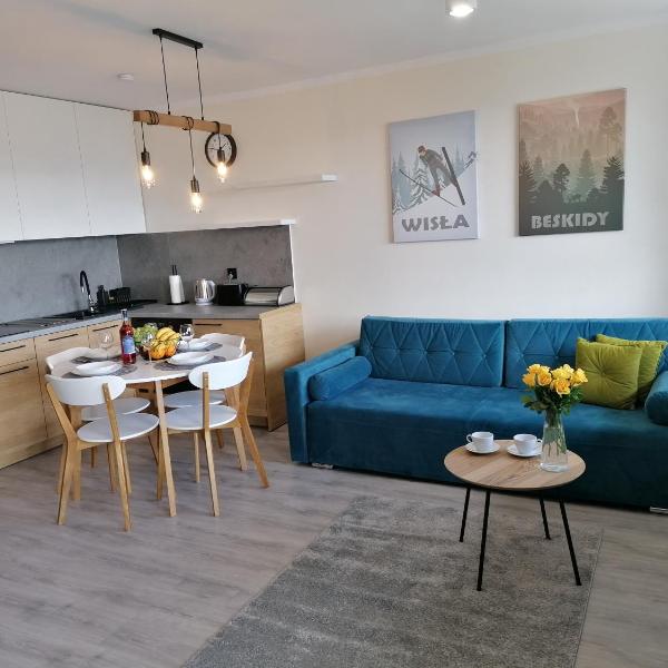 Apartament widokowy ul Bukowa Wisła