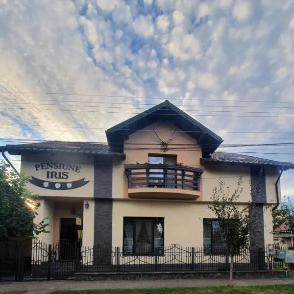 Pensiunea Iris, hotel in Sighetu Marmaţiei