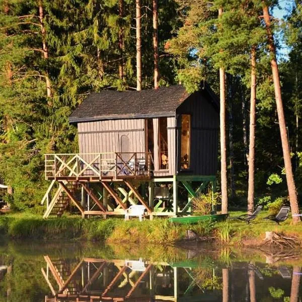Dragon house in the tree! Jacuzzi, Sauna ,Cinema,Heated, hotel in Līči