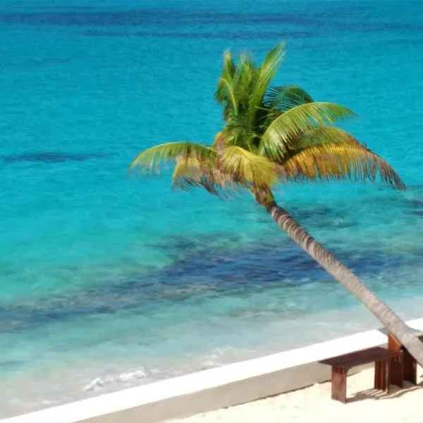 The Horny Toad Guest House, hotel v destinaci Simpson Bay