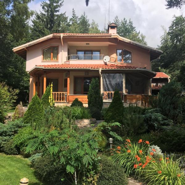 Luxury Villa Borina