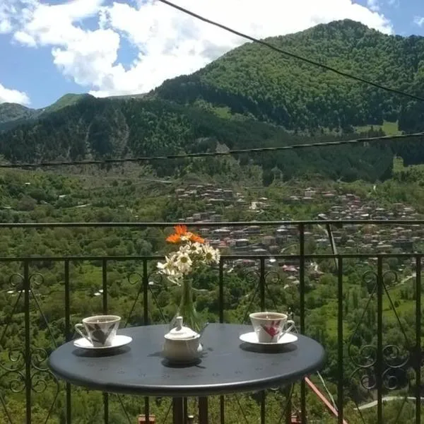 Baou House, hotel em Metsovo