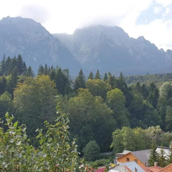 Pensiunea Luna、ブシュテニのホテル