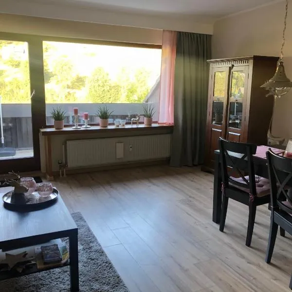 Kleine Auszeit Winterberg, hotel v destinaci Winterberg