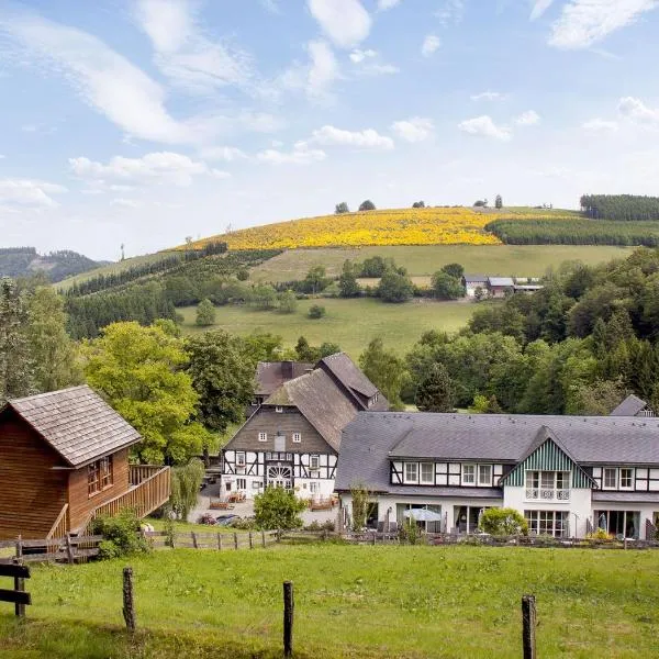 Hotel Gut Vorwald, отель в городе Шмалленберг