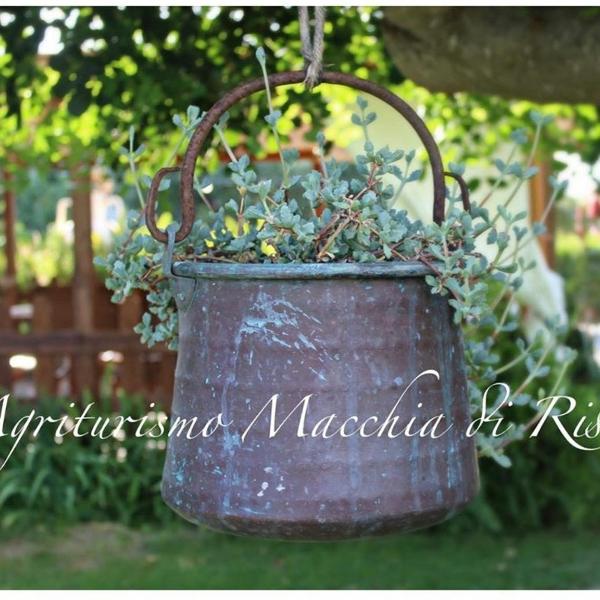 Agriturismo Macchia di Riso