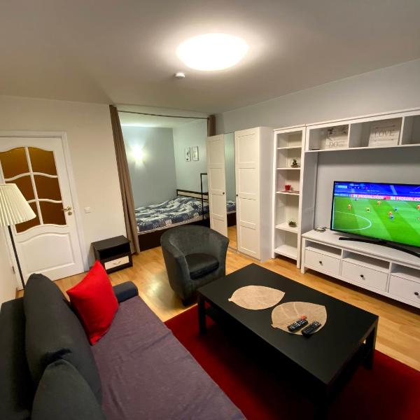 Vilnius central studio apartment