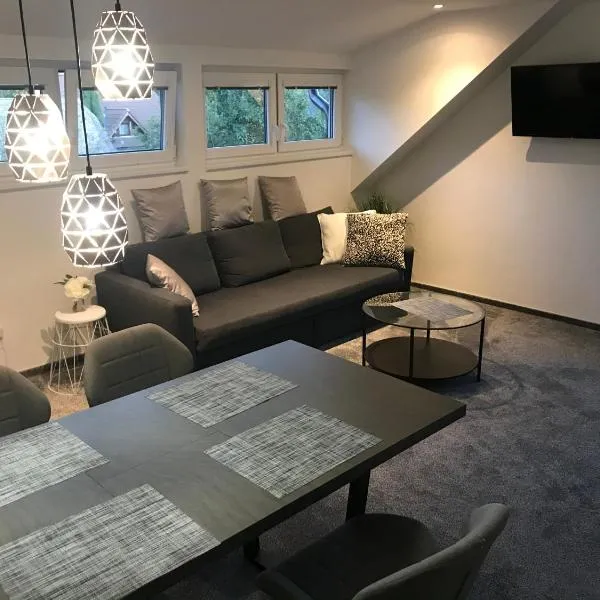 Apartmány U Lípy, hotel v destinaci Tatobity