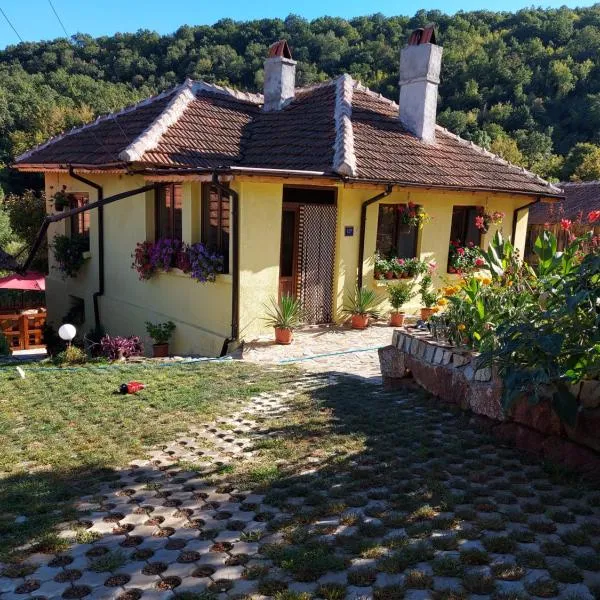 Guest House „Ivanovata house”, hotel v destinaci Yanʼovets