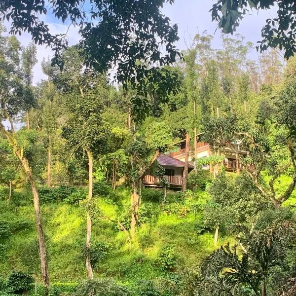 Serene Woods, hotell sihtkohas Madikeri