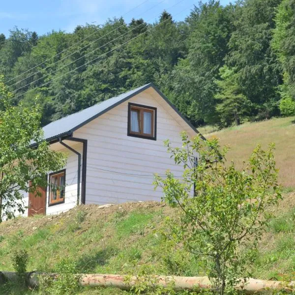 Domek Zacisze Gór Słonnych, hotel a Tyrawa Wołoska