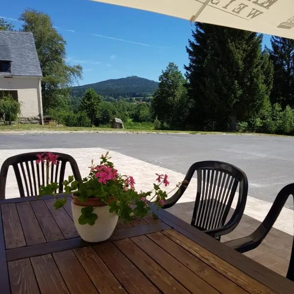 Pension und Gasthof Reithmeier, Hotel in Nagel