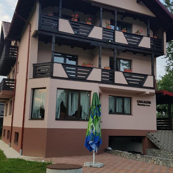 Casa Alesia Bucovina