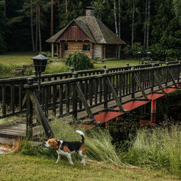 Log Cabin