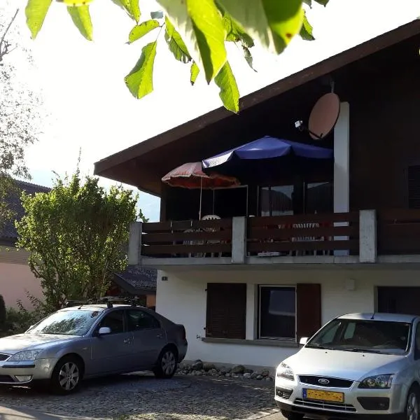 Haus Nussbaumweg 6, hotel in Giswil