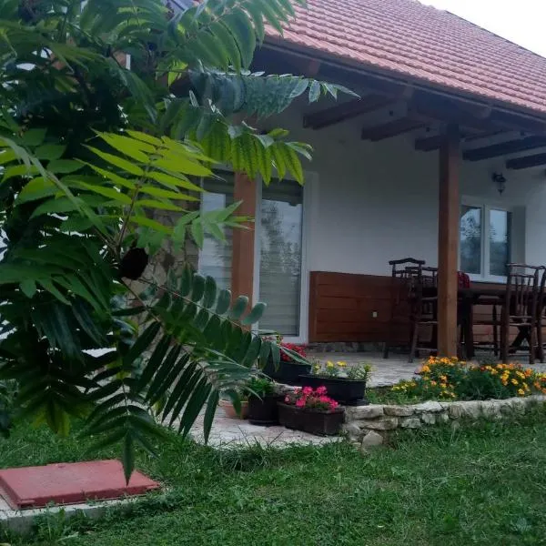 Nektar Park Villa Sara, hotel i Bihać