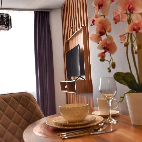 Blaumana Residence Apartment in Riga center, Riga